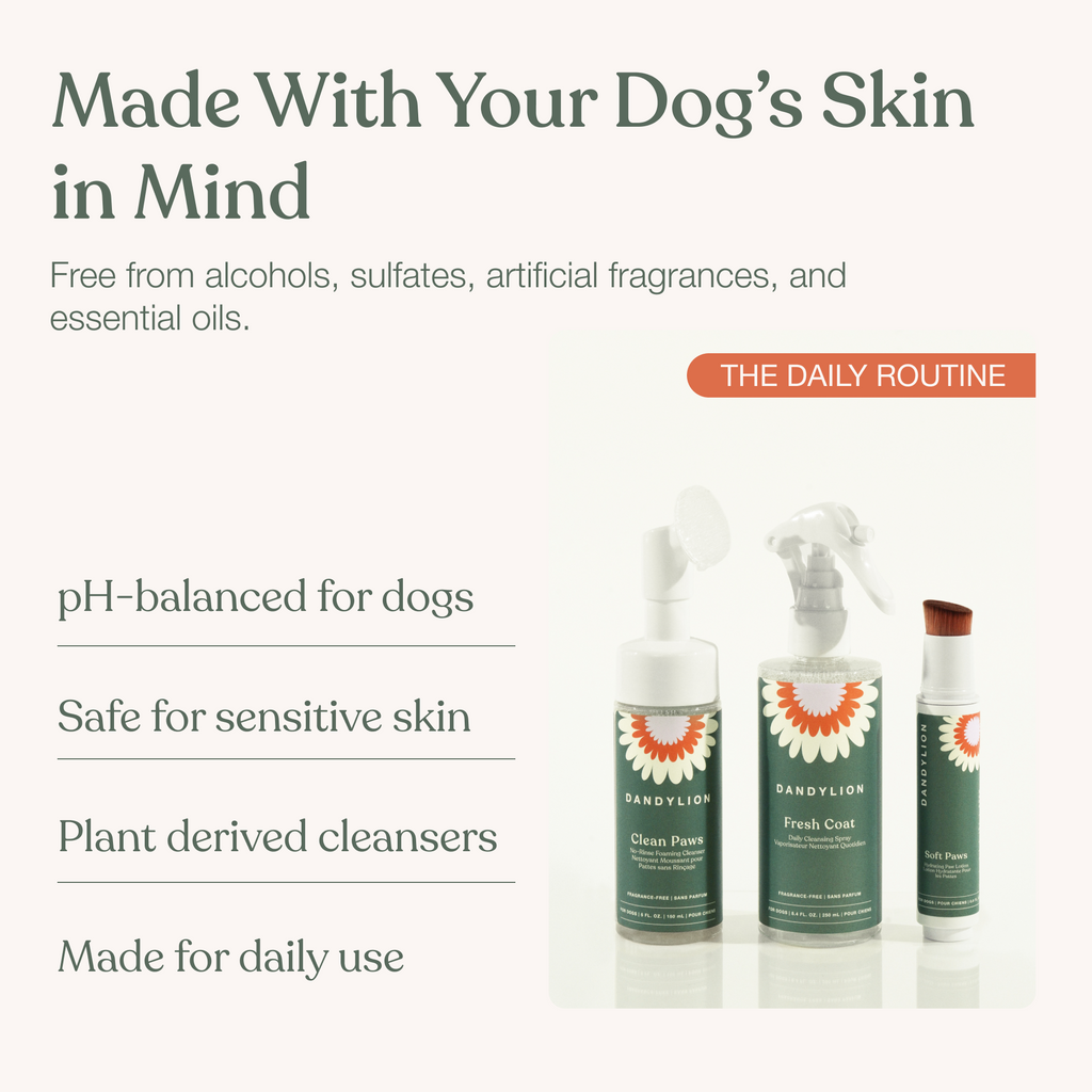 Dog Paw and Coat Care Set product image 3