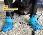 Breathable Rubber Dog Boots product image 34