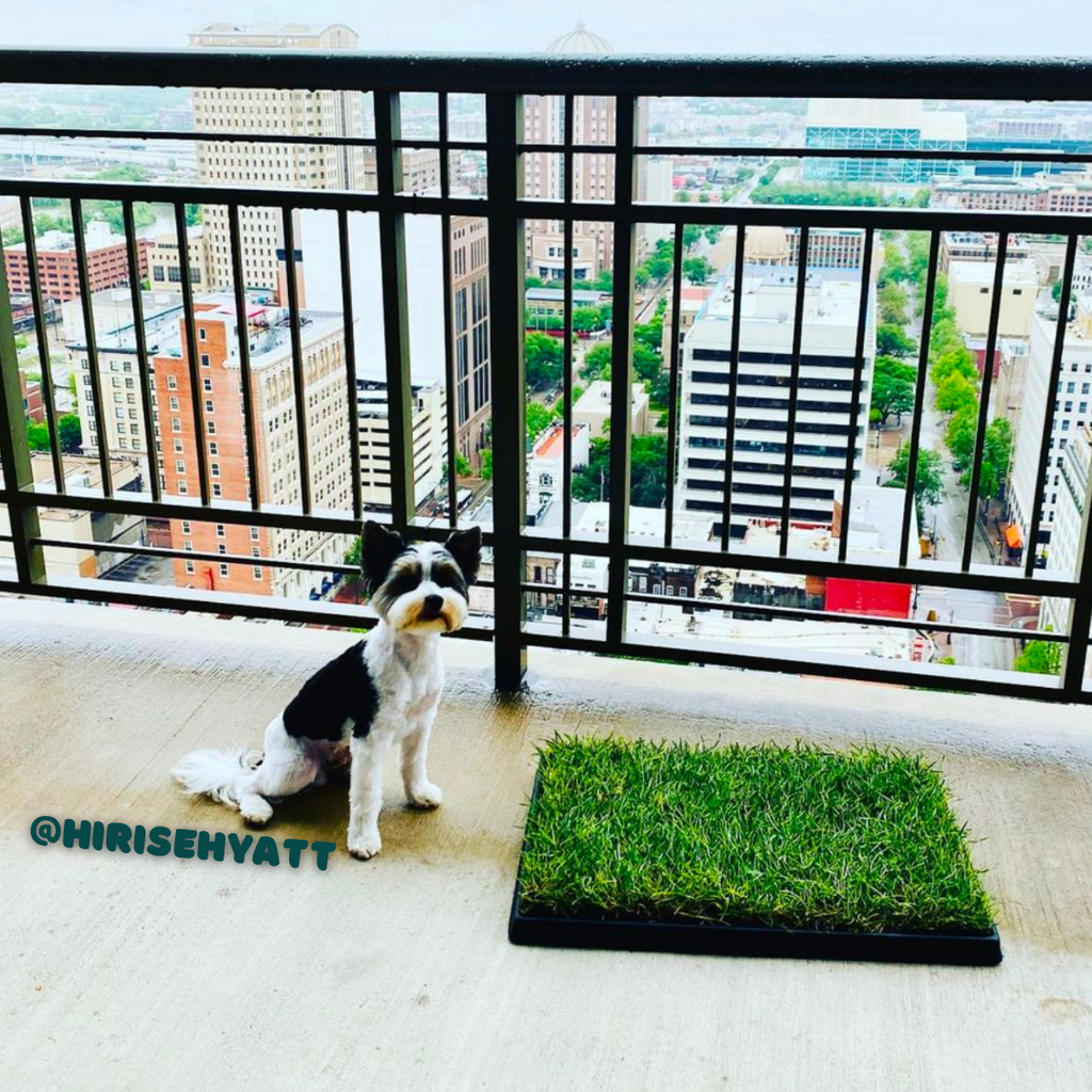 Dog Grass Pee Pad Plastic Tray product image 4