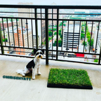 Dog Grass Pee Pad Plastic Tray product image 4