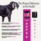 Senior Dog Multivitamin Soft Chews product image 5