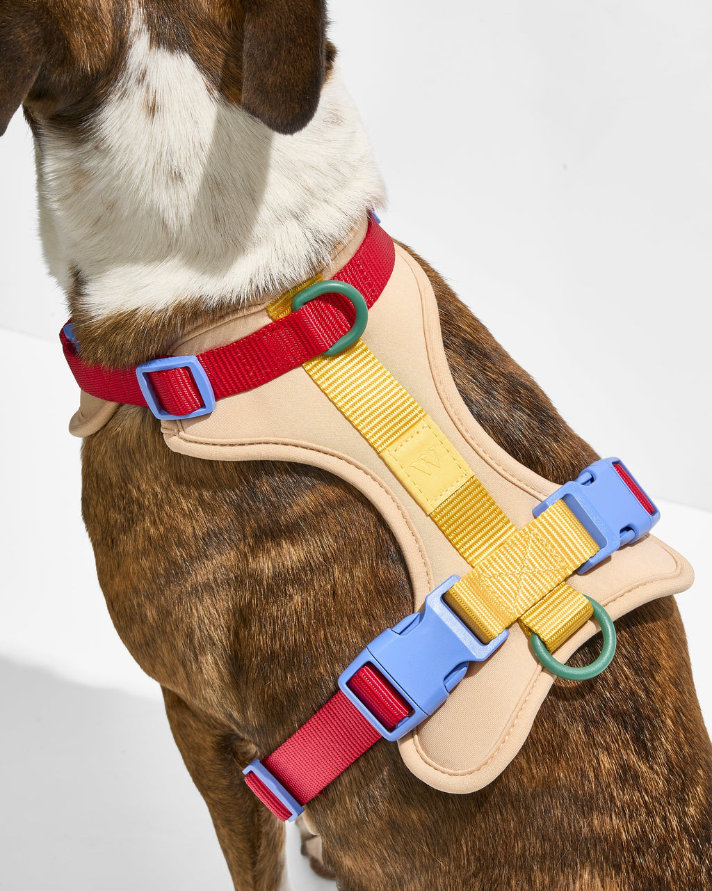 Cushioned No-Pull Dog Harness product image 9