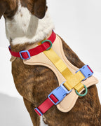 Cushioned No-Pull Dog Harness product image 9