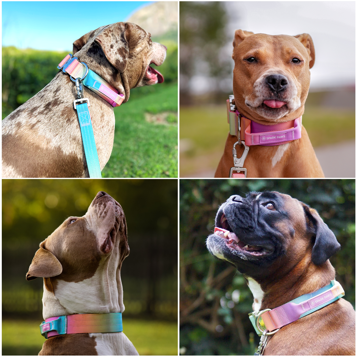 Control-Handle Dog Collar product image 6