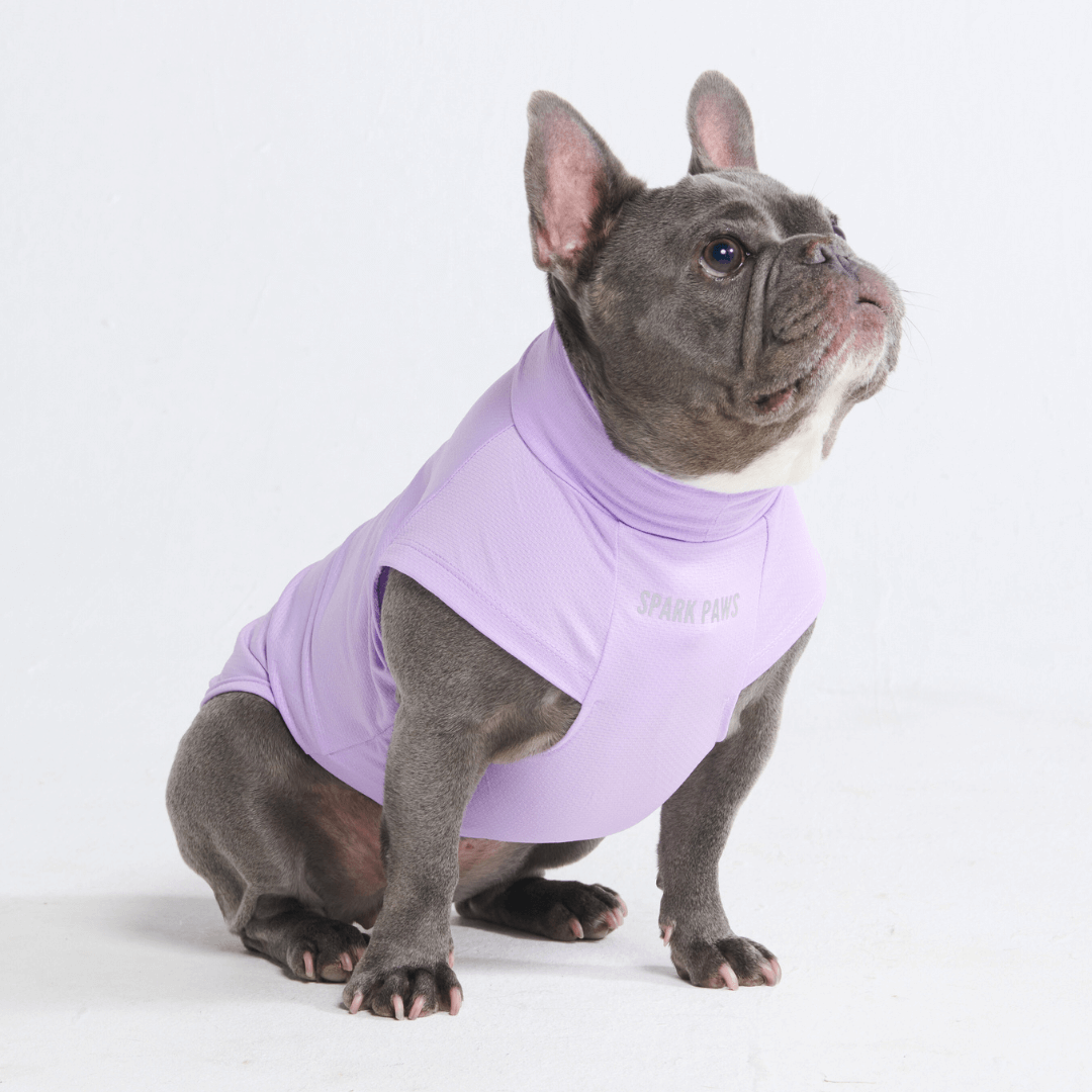 UPF 30 Dog Sun Shirt product image 6