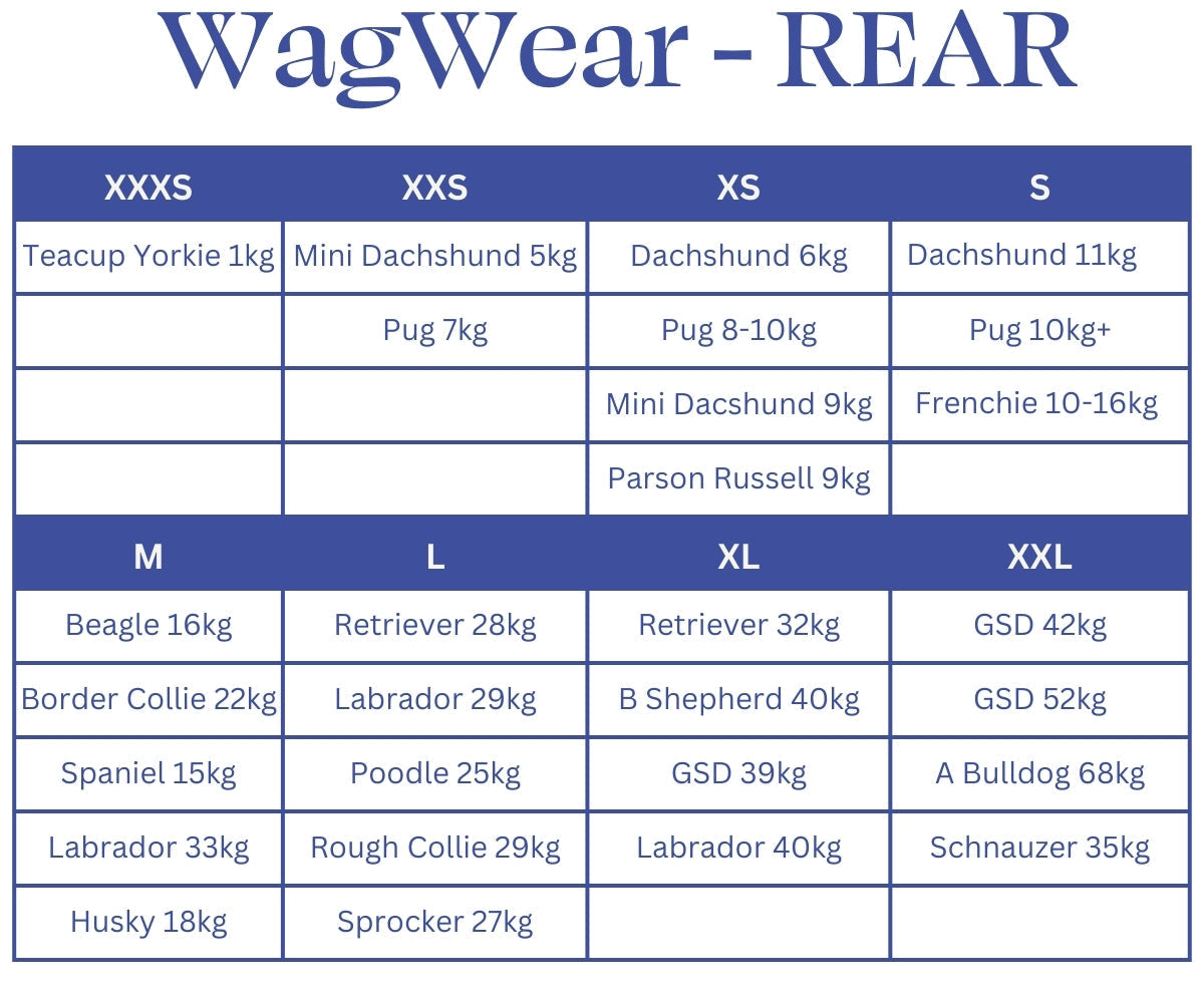 Breathable Rubber Dog Boots product image 6