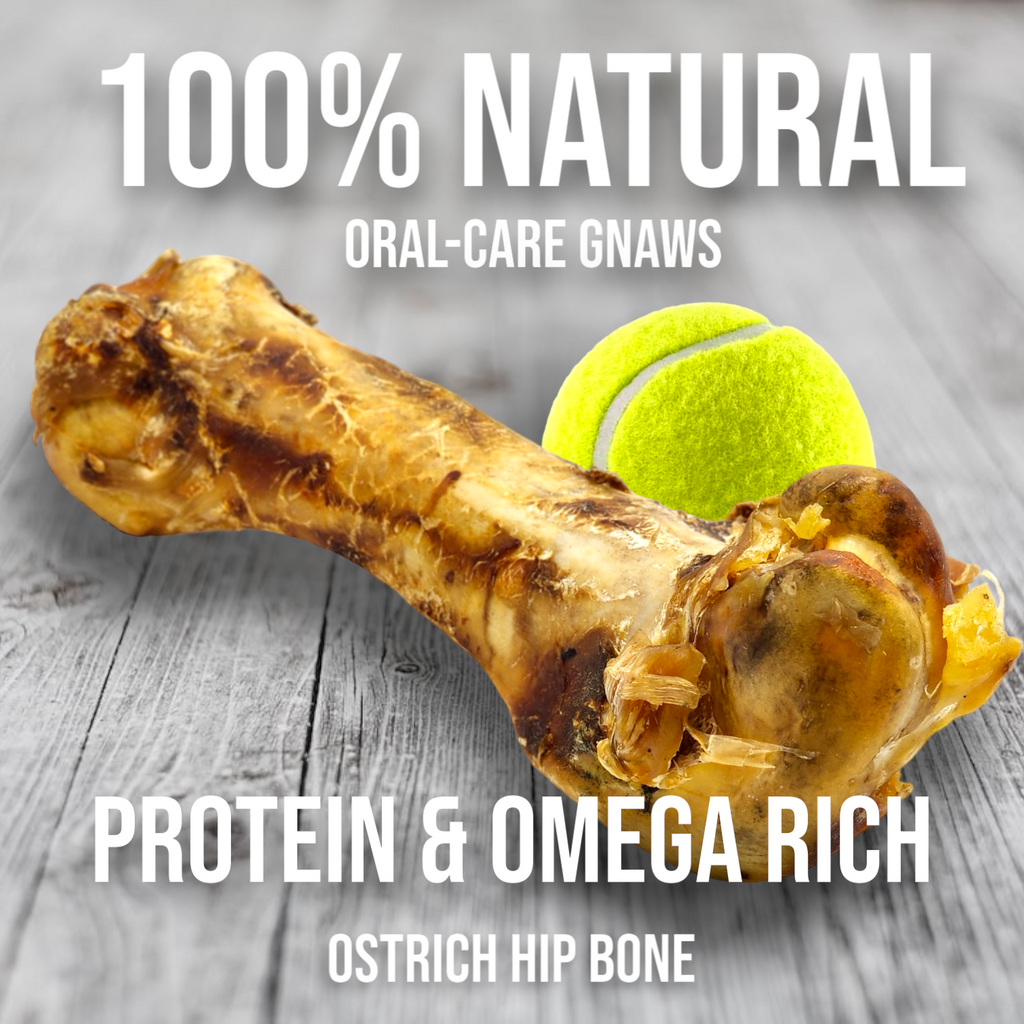 Ostrich Hip Bone Dog Chew product image 4