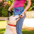 Pocket Dog Treat Pouch product image 2