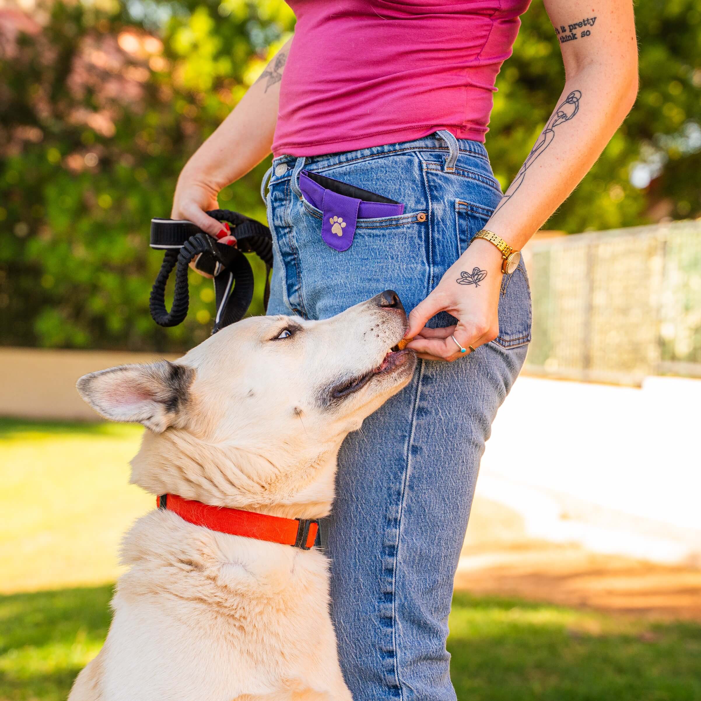 Pocket Dog Treat Pouch product image 2