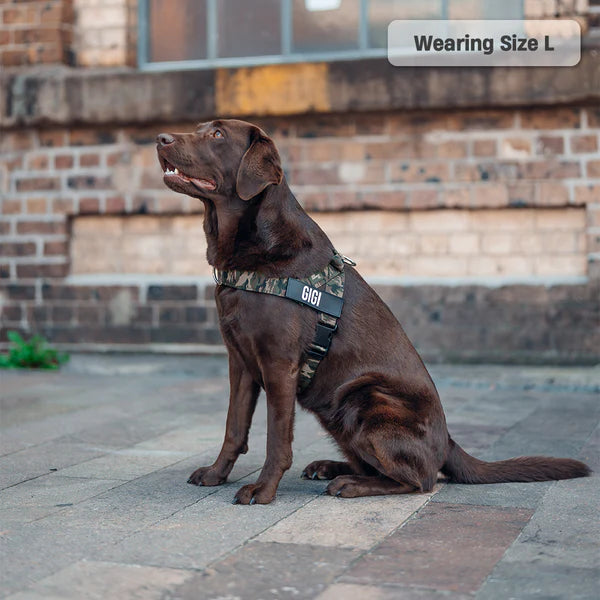 Adjustable Grab-Handle Dog Harness product image 48