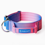Padded Control-Handle Dog Collar 2"/5cm / S