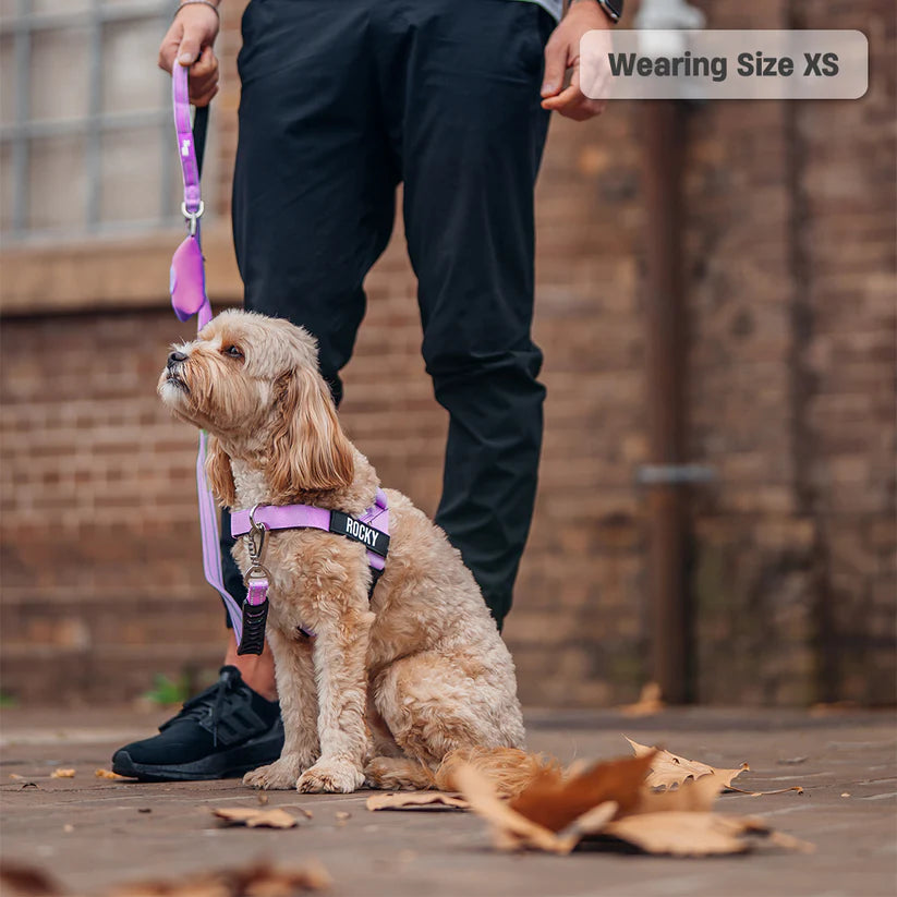 Adjustable Grab-Handle Dog Harness product image 19