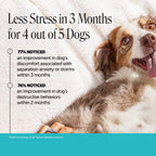 Hemp Calming Soft Chews for Dogs product image 3