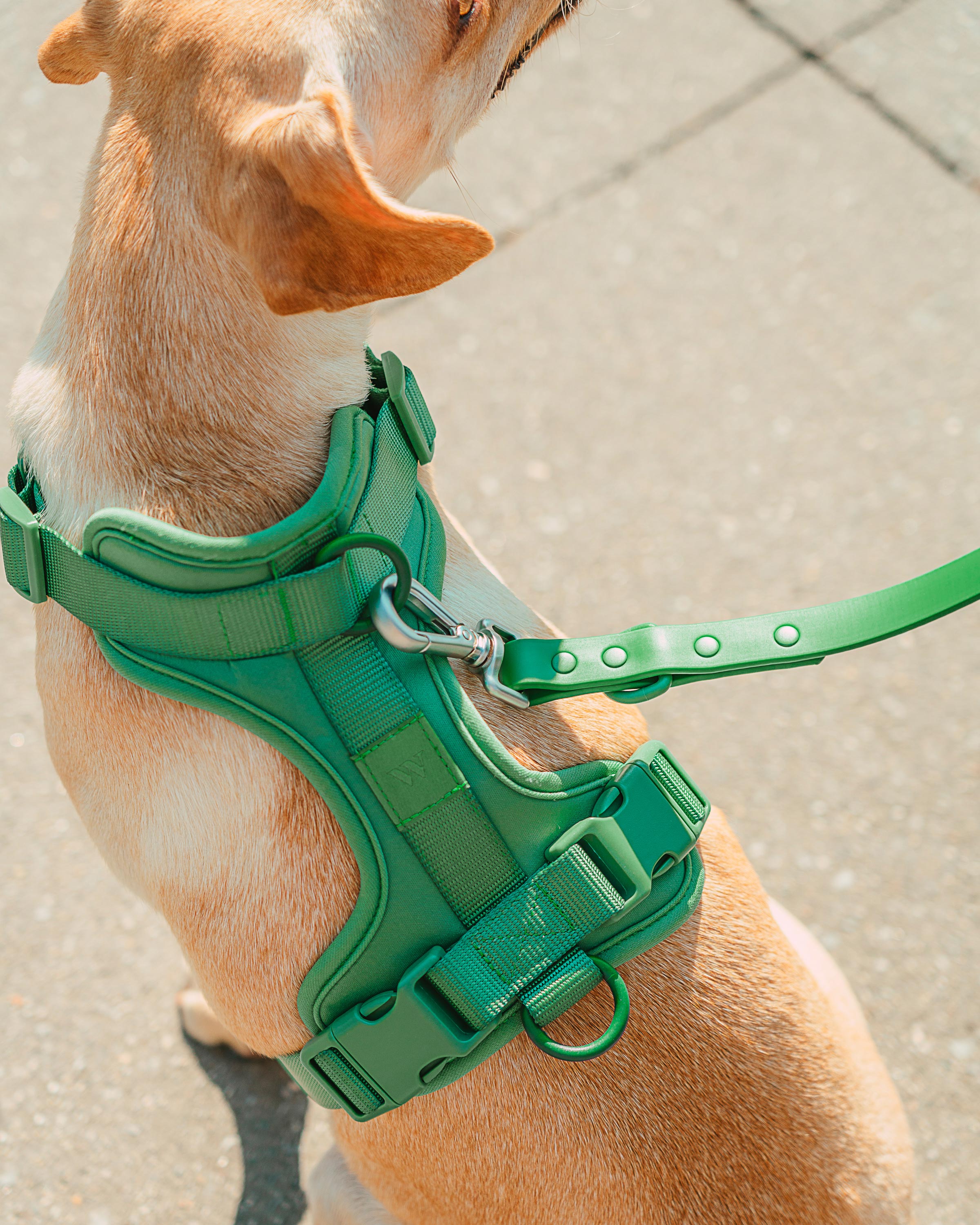 Cushioned No-Pull Dog Harness product image 17
