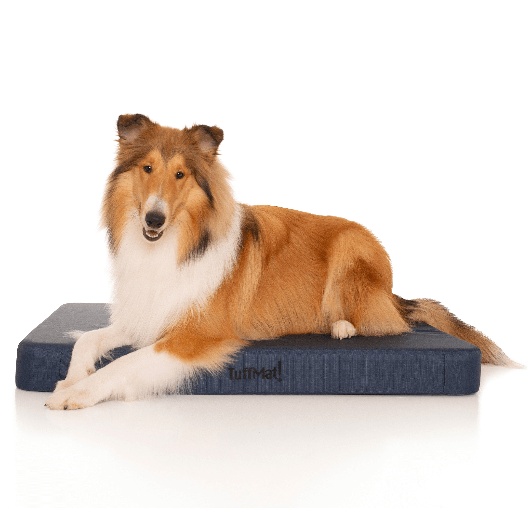 Waterproof Orthopedic Dog Bed product image 16