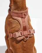 Cushioned No-Pull Dog Harness product image 23
