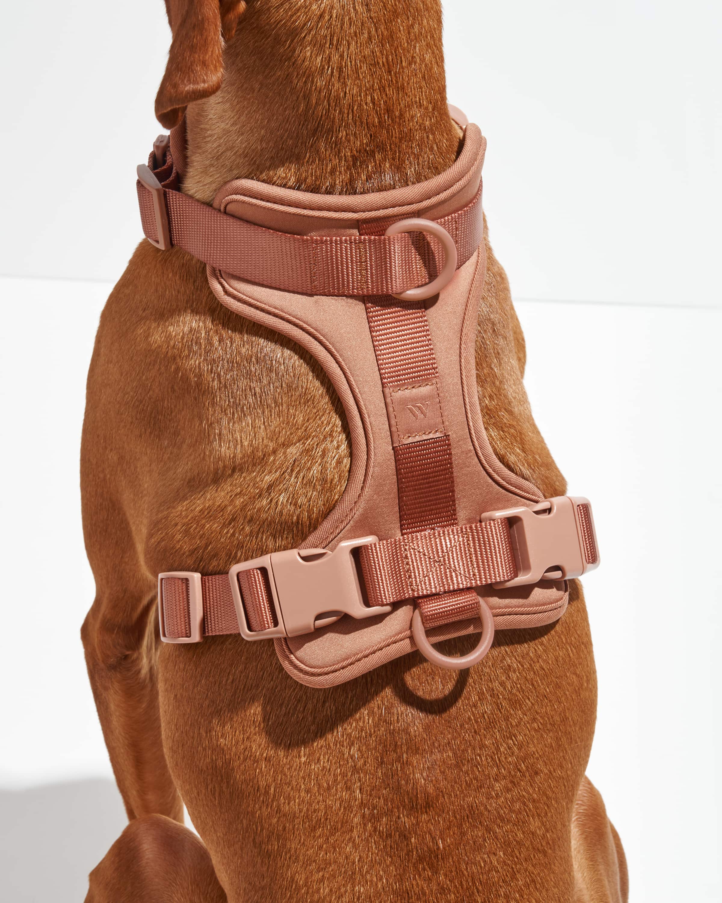 Cushioned No-Pull Dog Harness product image 23