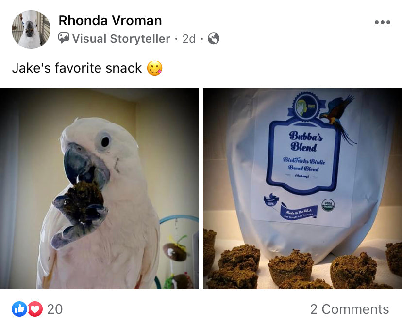 Parrot Birdie Bread Mix Bundle product image 32