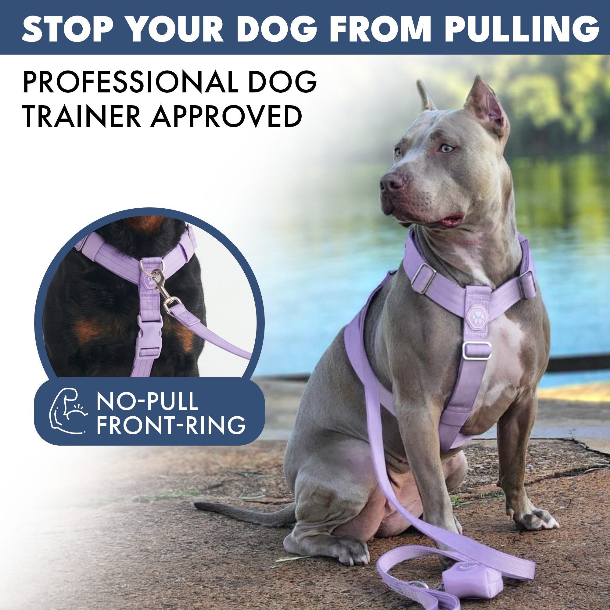 No-Pull Dog Harness Walking Set product image 45