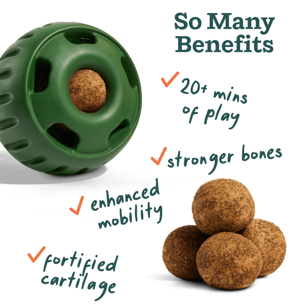Hip and Joint Dog Enrichment Pops product image 2