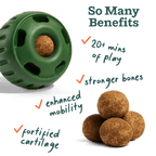 Hip and Joint Dog Enrichment Pops product image 2
