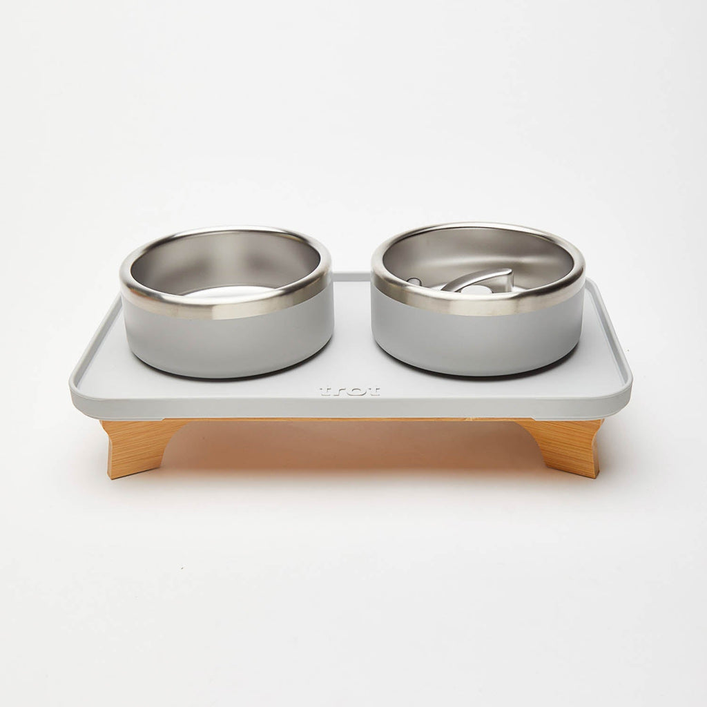 Elevated Pet Slow Feeder and Bowl Set Slate (Light Gray) / Small (1-2 Cups) / 3 inches