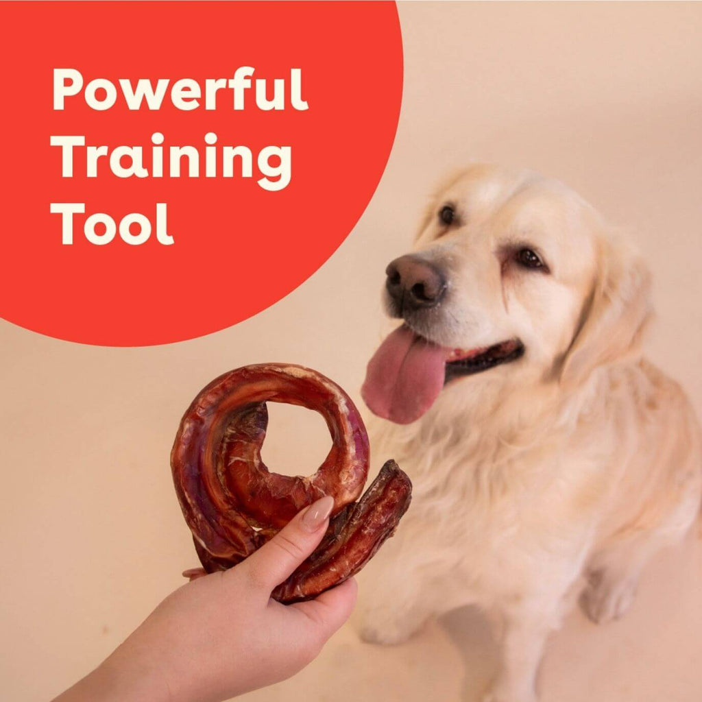 Natural Beef Bully Ring Dog Chews product image 6