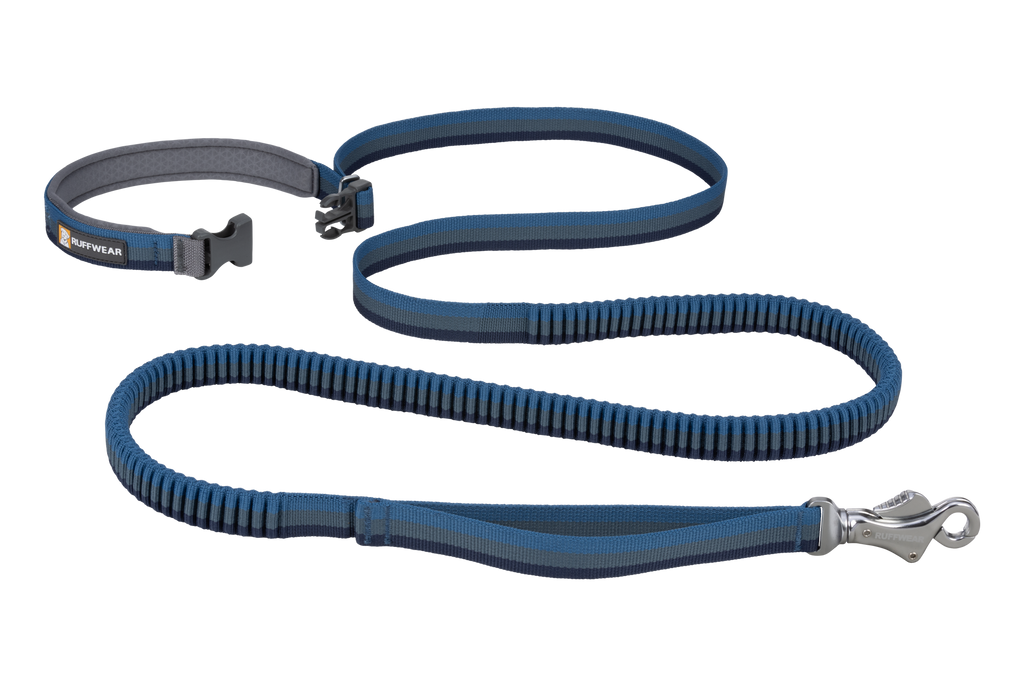 Hands-Free Bungee Dog Leash product image 11
