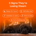 Liquid Dog Wellness Supplement product image 4