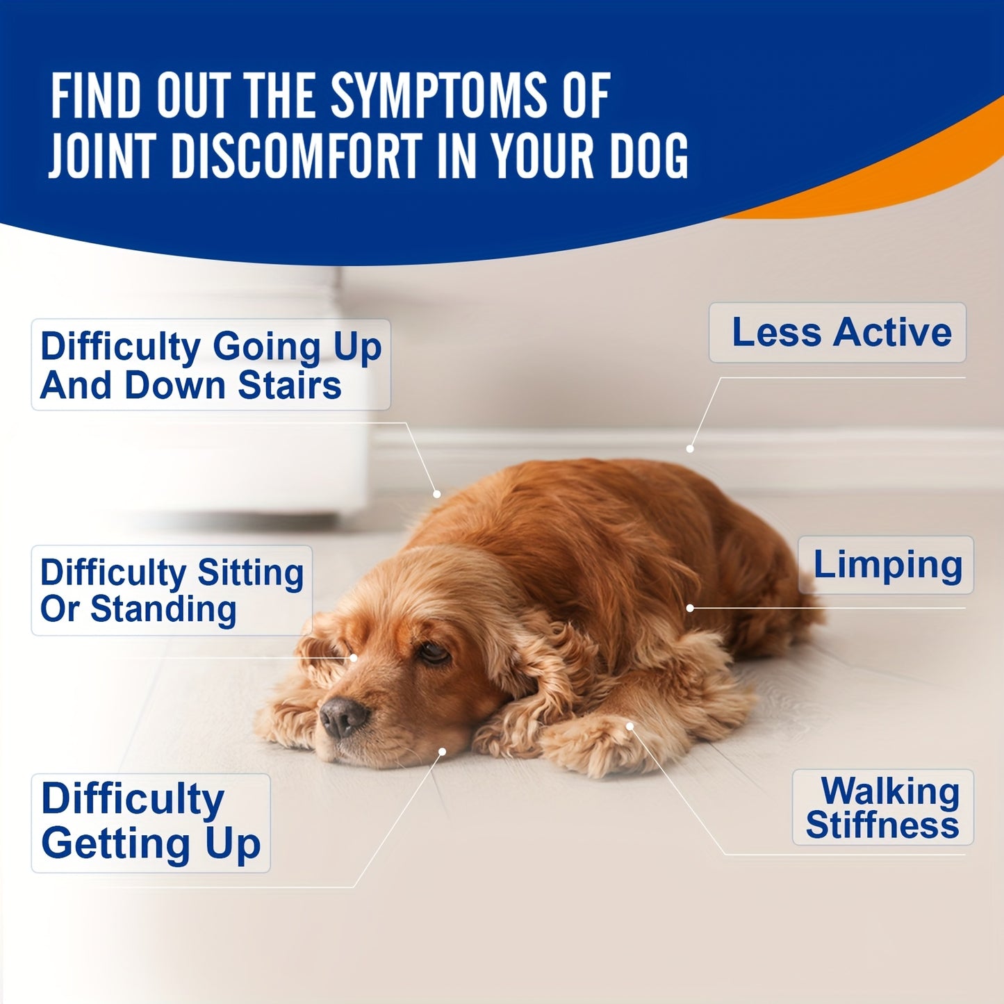 Dog Glucosamine Joint Supplement Chews 120ct | Chicken Flavor Soft Chews with Glucosamine, Chondroitin, MSM & Vitamins for Hip & Joint Health, Mobility Support for Dogs of All Sizes & Ages