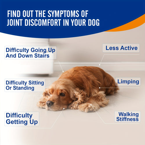 Dog Glucosamine Joint Supplement Chews 120ct | Chicken Flavor Soft Chews with Glucosamine, Chondroitin, MSM & Vitamins for Hip & Joint Health, Mobility Support for Dogs of All Sizes & Ages