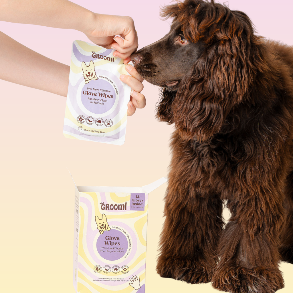 Full-Body Pet Glove Wipes product image 6