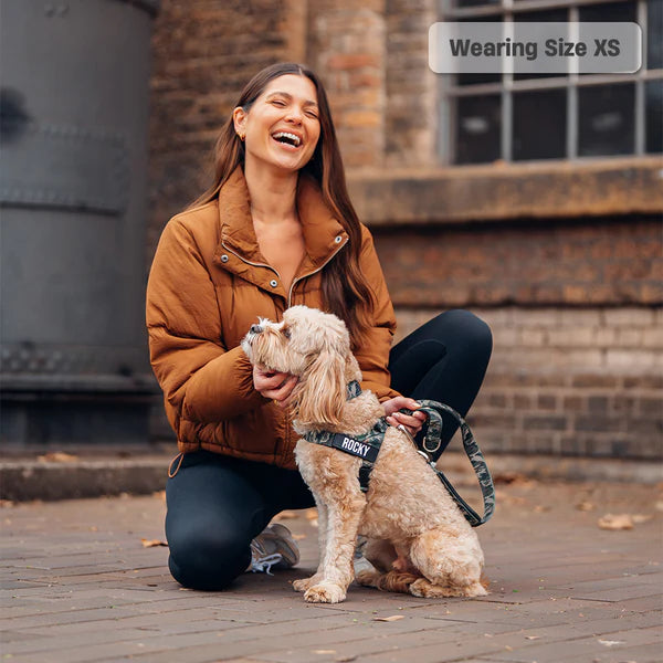 Adjustable Grab-Handle Dog Harness product image 49