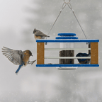Eastern Bluebird Mealworm Feeder product image 4