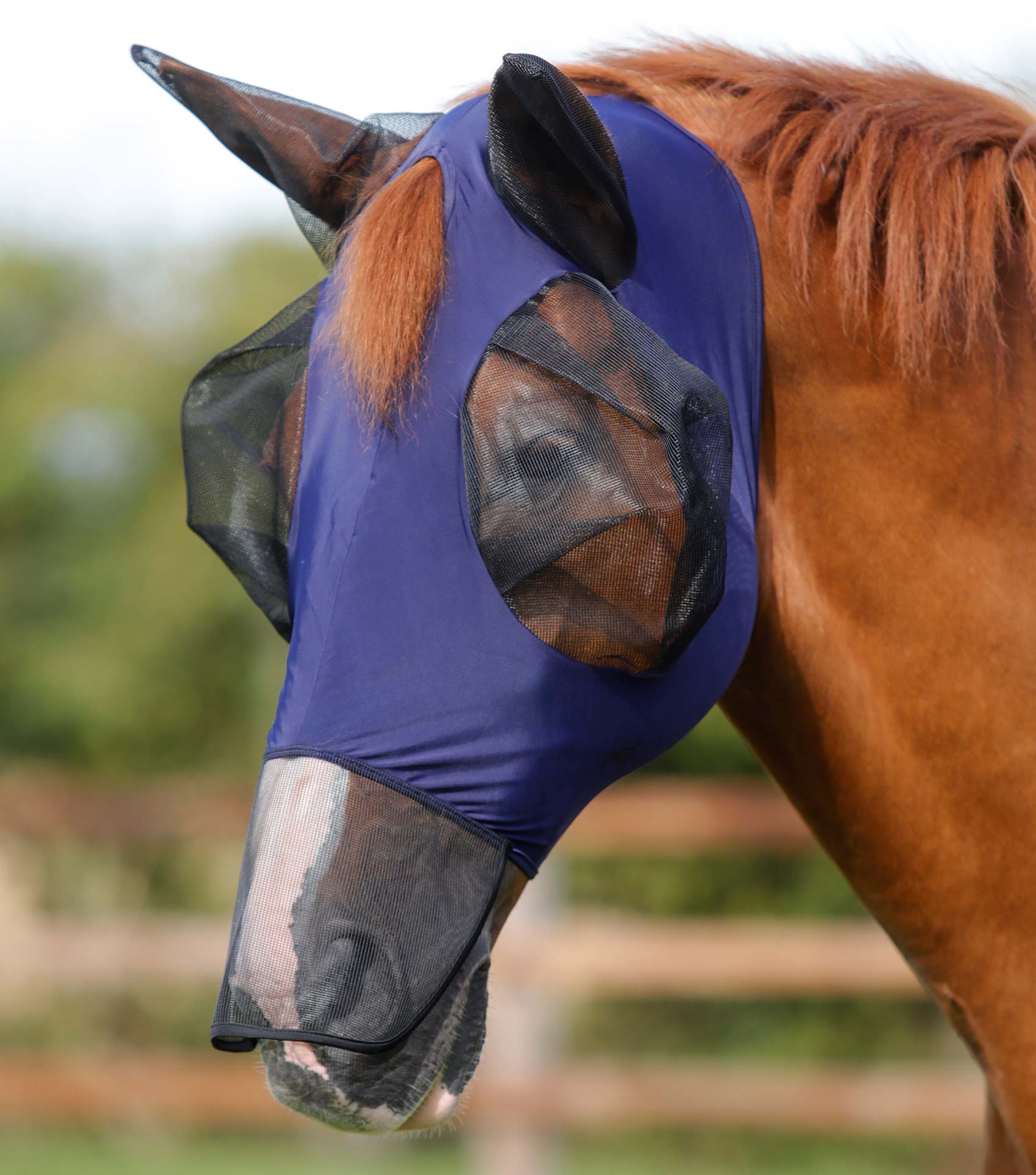 Lycra Horse Fly Mask with Nose Guard Navy / S