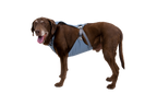 Crash-Tested Dog Car Harness product image 10