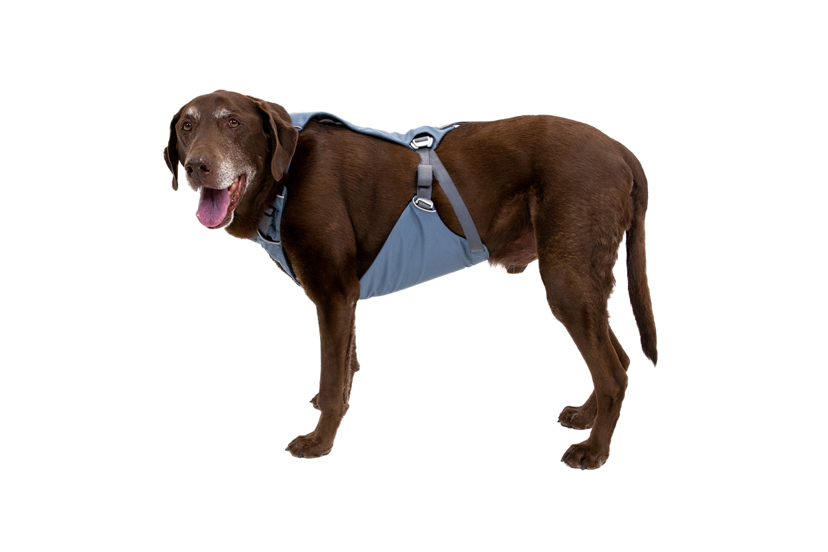 Crash-Tested Dog Car Harness product image 10