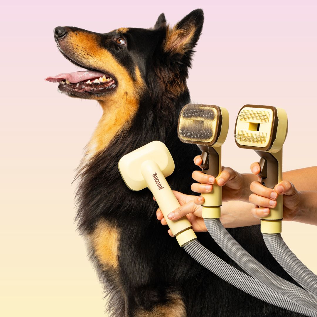 Vacuum Pet Grooming Brush Kit product image 2