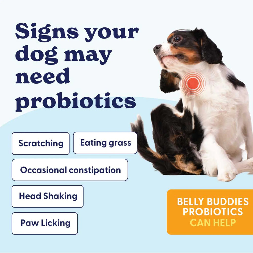 Belly Buddies Probiotics for Dogs product image 3