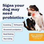 Belly Buddies Probiotics for Dogs product image 3