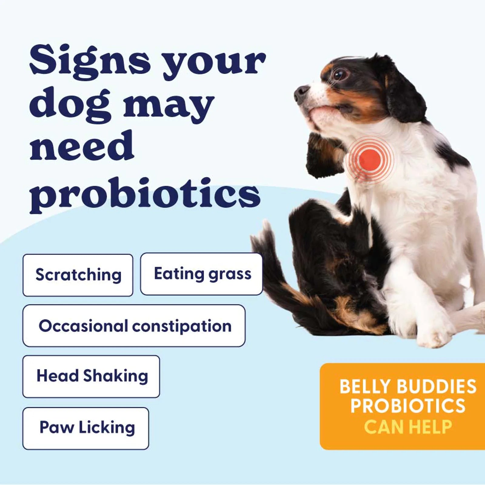 Belly Buddies Probiotics for Dogs product image 3