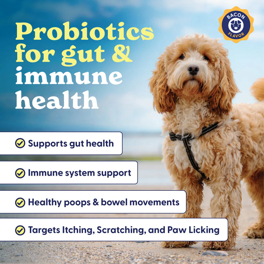 Belly Buddies Probiotics for Dogs product image 6