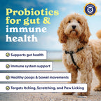 Belly Buddies Probiotics for Dogs product image 6