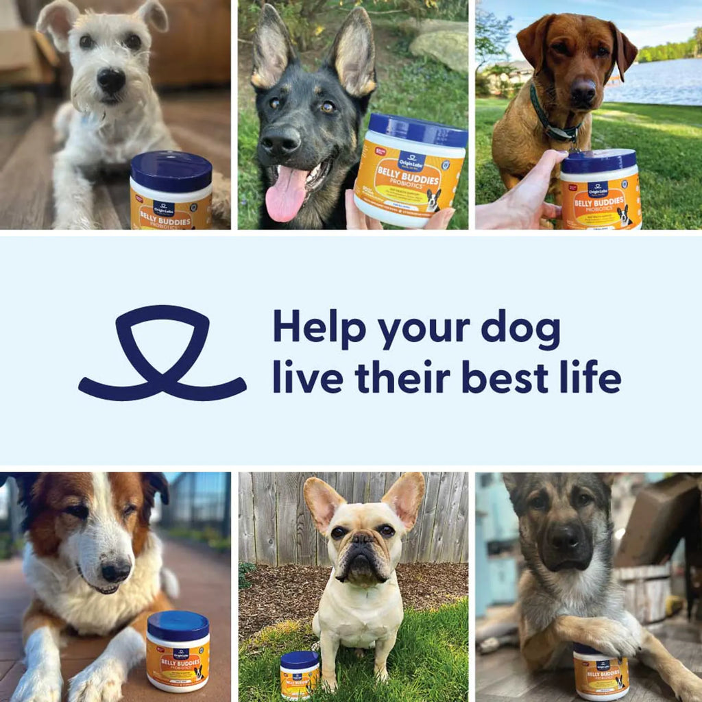 Belly Buddies Probiotics for Dogs product image 9