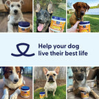 Belly Buddies Probiotics for Dogs product image 9