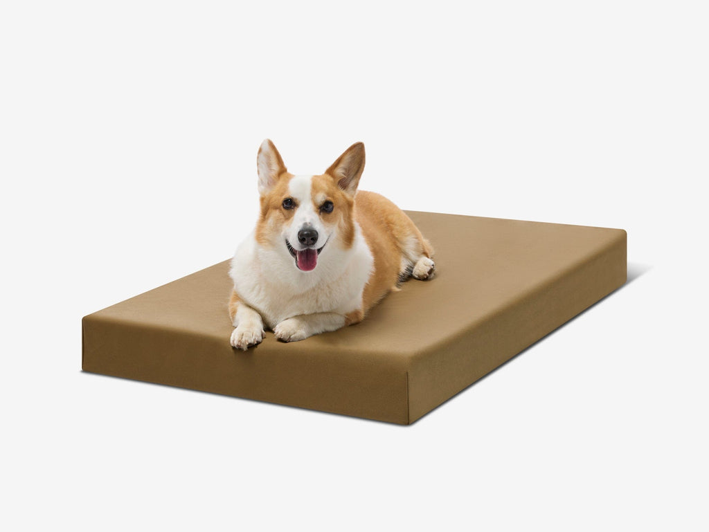 Orthopedic Dog Crate Bed product image 5