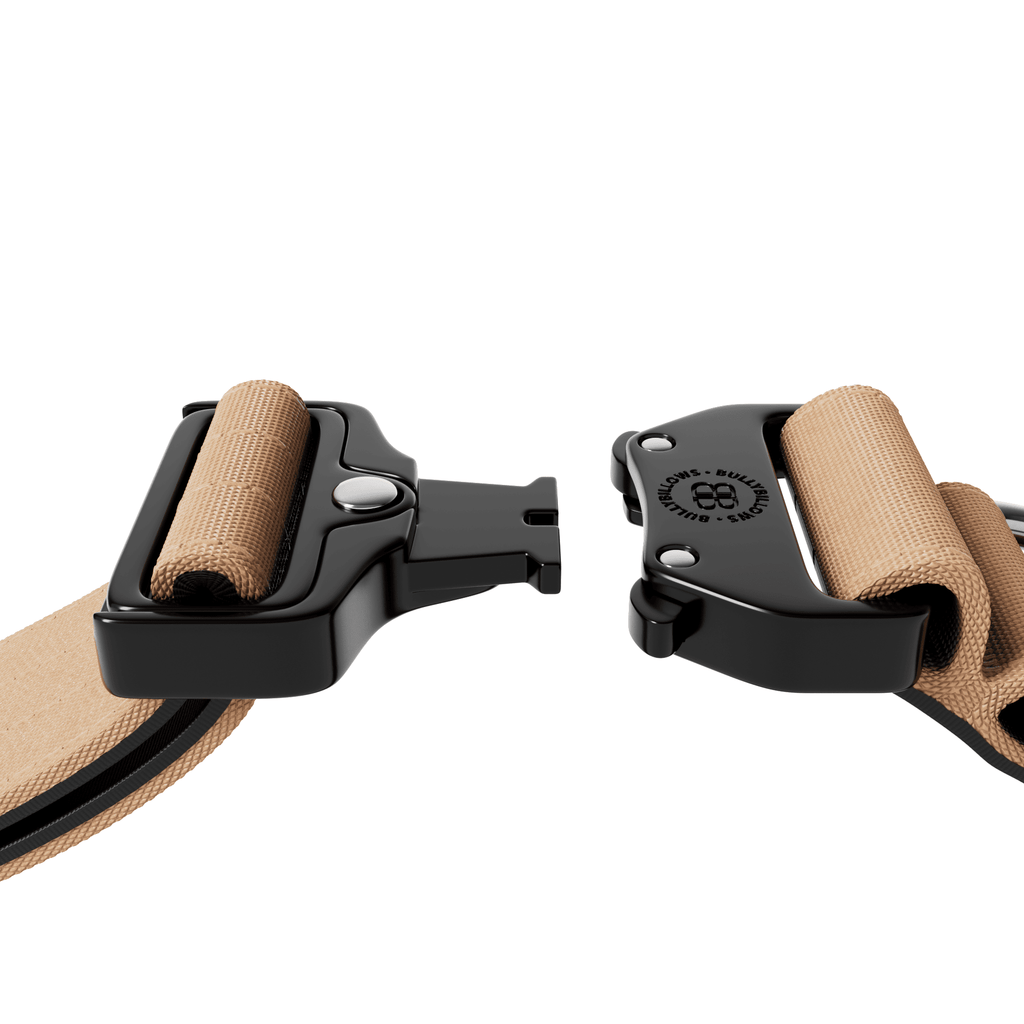 Padded Control-Handle Dog Collar product image 4