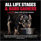 High-Calorie Liquid Dog Weight Supplement product image 4