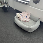 Dog Fleece Blanket product image 3