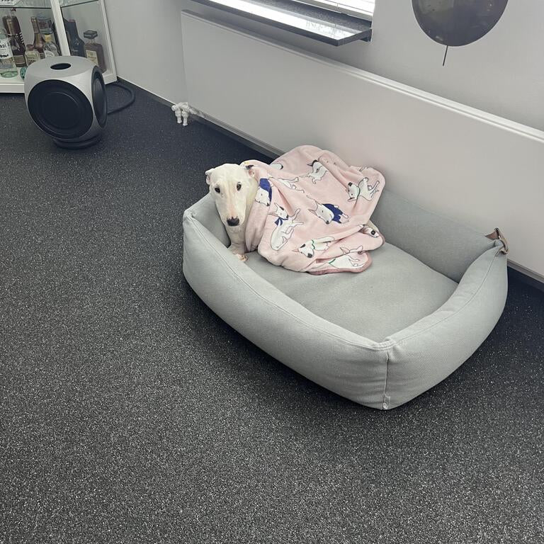 Dog Fleece Blanket product image 3